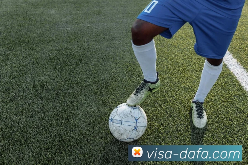 大发彩票品牌故事